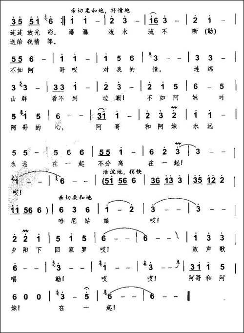 哈尼情歌-王璐-词曲