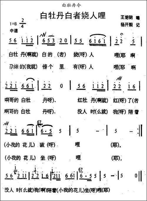 白牡丹白者娆人哩-青海花儿·白牡丹令