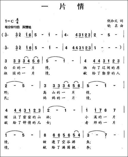 一片情