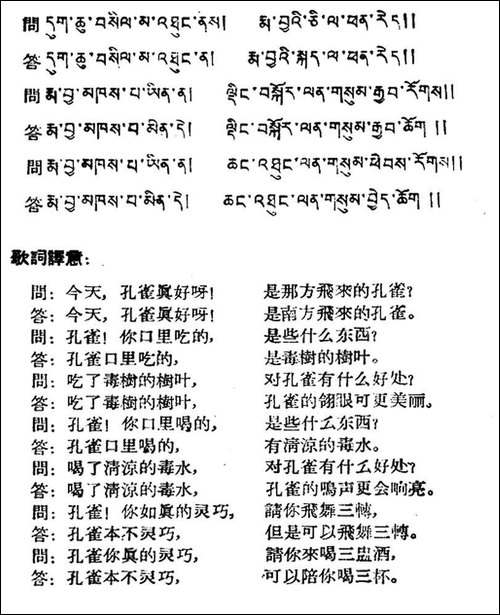 孔雀吃水-藏族民歌、藏文及音译版