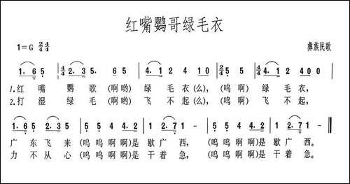 红嘴鹦哥绿毛衣