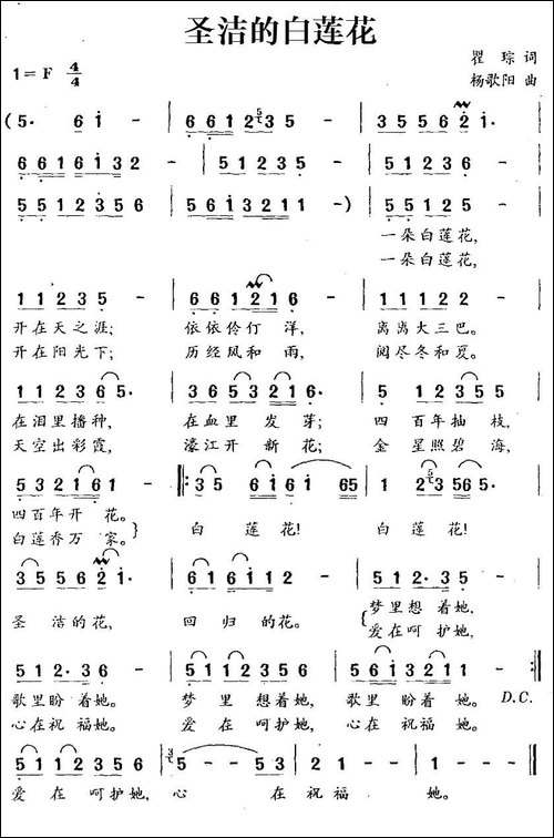 圣洁的白莲花