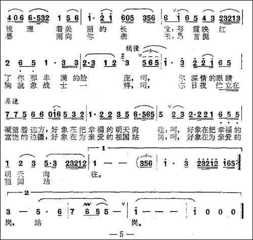 棕榈树，南方的姑娘