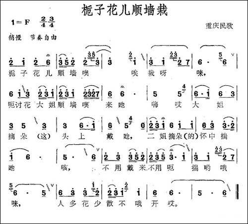 栀子花儿顺墙载