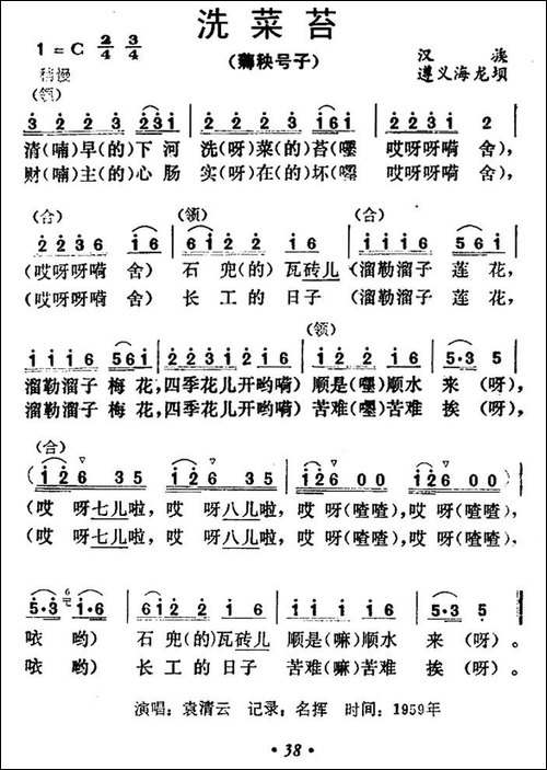 洗菜苔