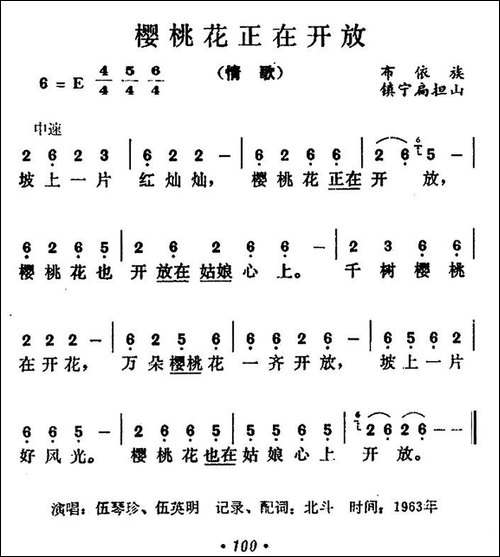 樱桃花正在开放-民歌
