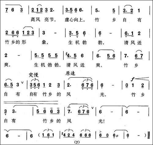 楠竹的海洋