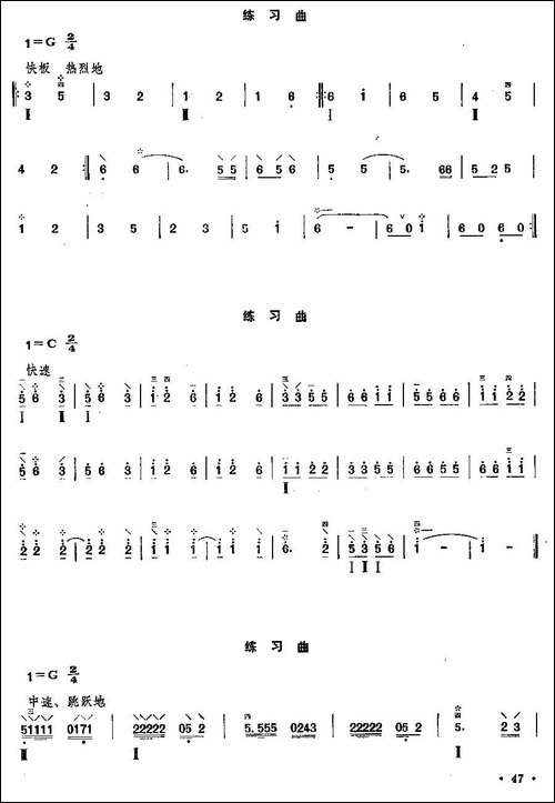 柳琴小轮技巧练习曲-其他谱