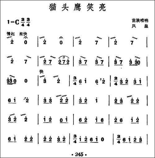 猫头鹰笑亮-苗族唢呐-其他谱