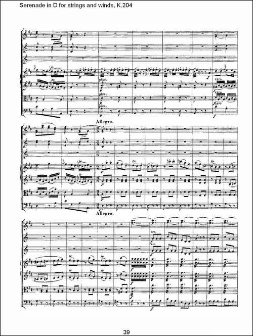 Serenade-in-D-for-strings-and-winds,-K.20-D调管弦乐小夜-其他谱