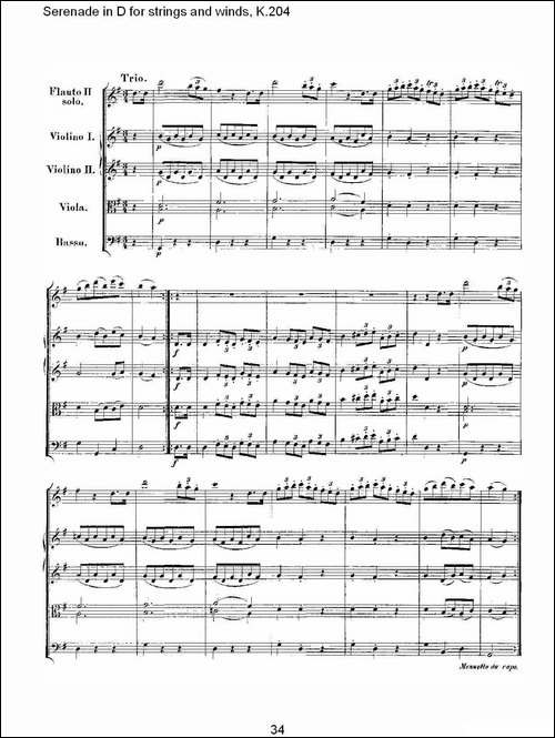 Serenade-in-D-for-strings-and-winds,-K.20-D调管弦乐小夜-其他谱