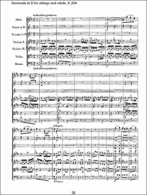 Serenade-in-D-for-strings-and-winds,-K.20-D调管弦乐小夜-其他谱