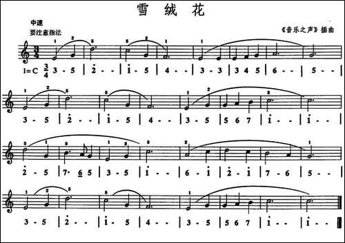 雪绒花-《音乐之声》插曲-口风琴、线简谱混排版-其他谱
