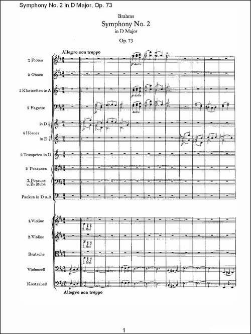 D大调第二交响曲,-Op.73第一乐章-其他谱