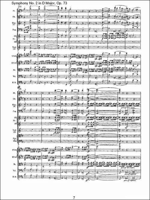 D大调第二交响曲,-Op.73第一乐章-其他谱
