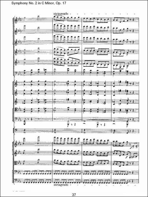 Symphony-No.-2-in-C-Minor,-Op.-17-------C小调第二交响曲,-其他谱