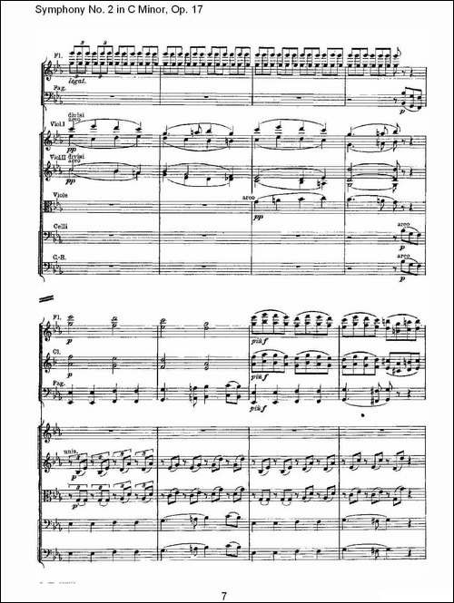 Symphony-No.-2-in-C-Minor,-Op.-17-------C小调第二交响曲,-其他谱