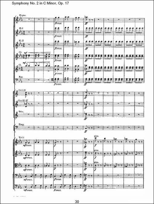 Symphony-No.-2-in-C-Minor,-Op.-17-------C小调第二交响曲,-其他谱