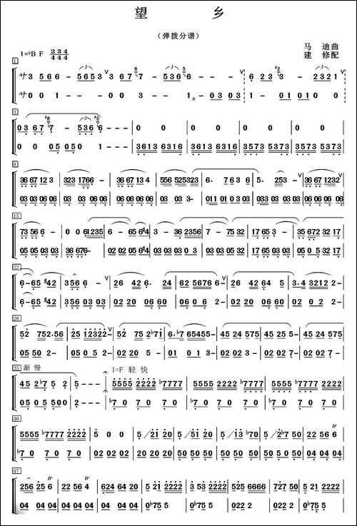 望乡-笛子独奏+乐队伴奏弹拨分谱-其他谱