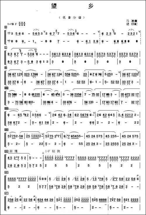 望乡-笛子独奏+乐队伴奏低音分谱-其他谱
