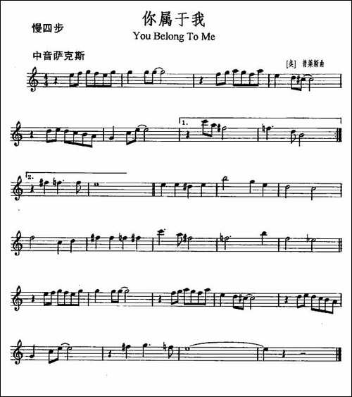 你属于我-You-Belong-to-Me-吉他谱