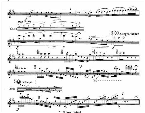 毛绒鸟奏鸣曲之一-须川展也的《Fuzzy-Bird-Sonata》-吉他谱