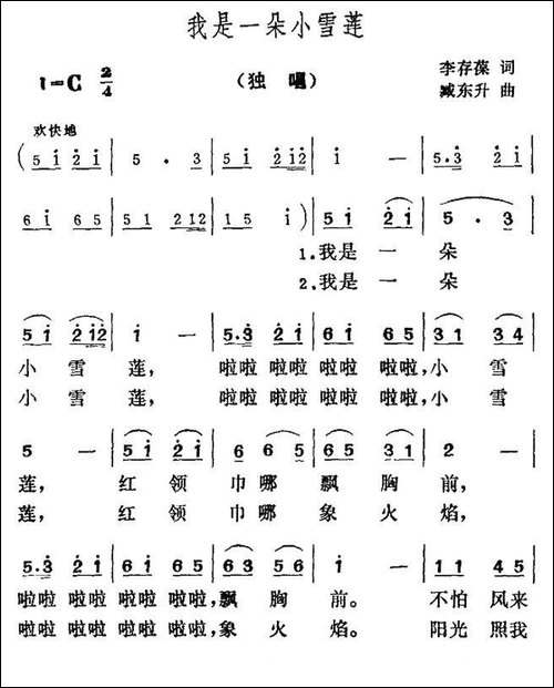 我是一朵小雪莲