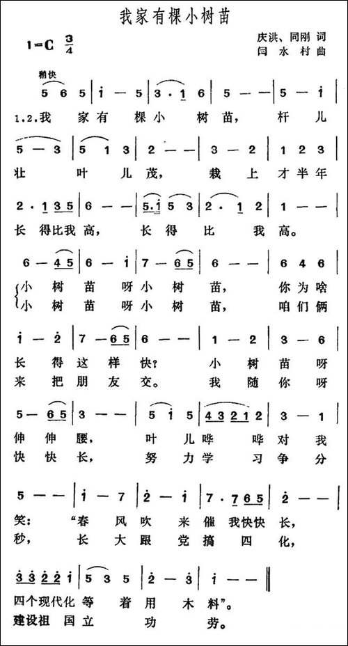 我家有棵小树苗