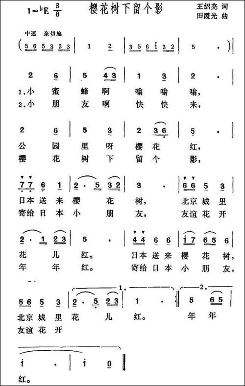 樱花树下留个影
