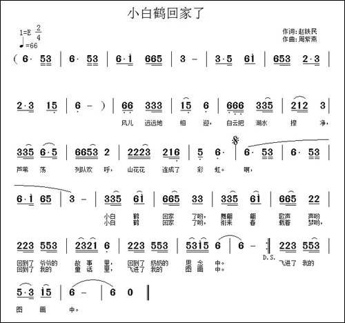 小白鹤回家了