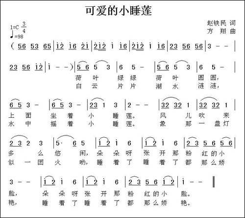 可爱的小睡莲
