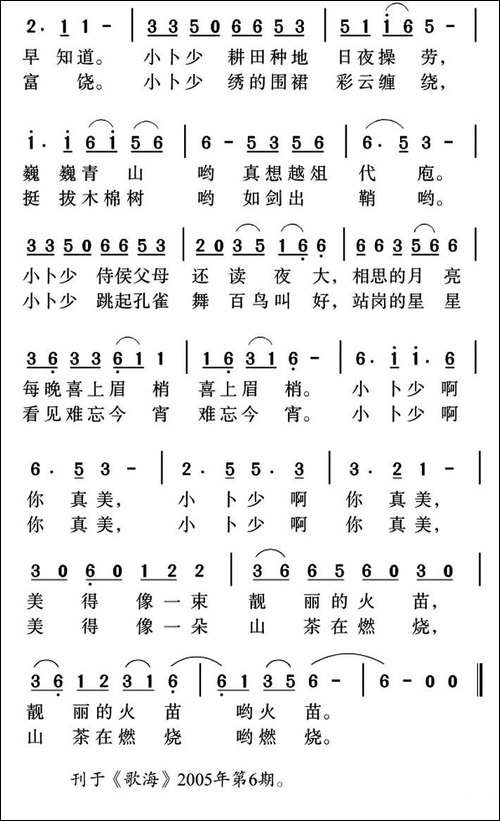 傣族小卜少
