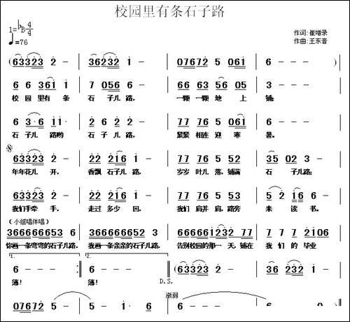 校园里有条石子路