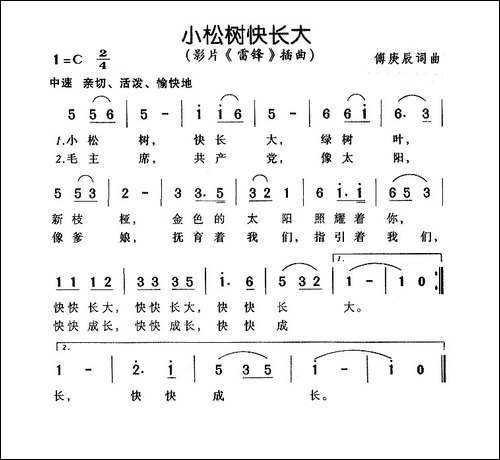 小松树快长大