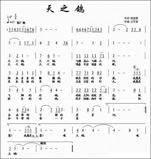 天之鸽
