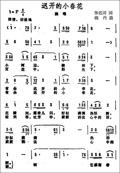 迟开的小春花