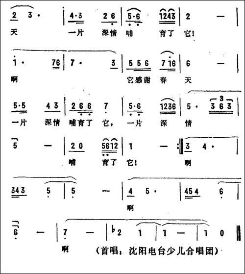 迟开的小春花