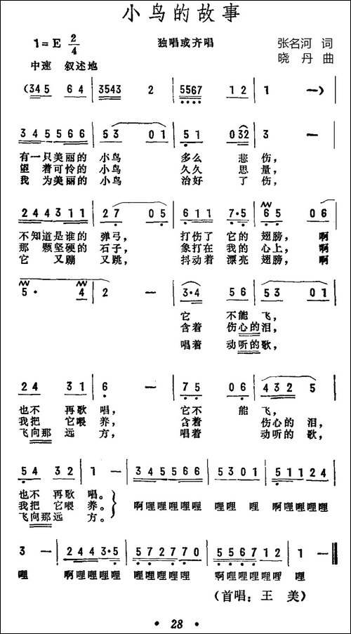 小鸟的故事