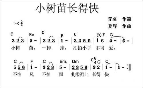 小树苗长得快