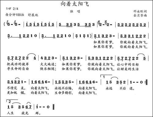 向着太阳飞