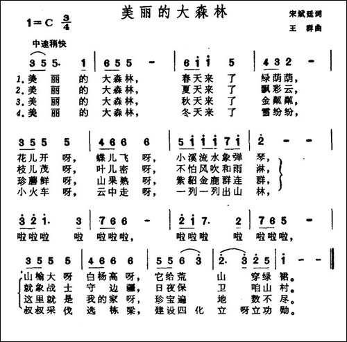 美丽的大森林