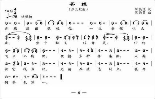 苍蝇