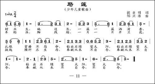 马莲