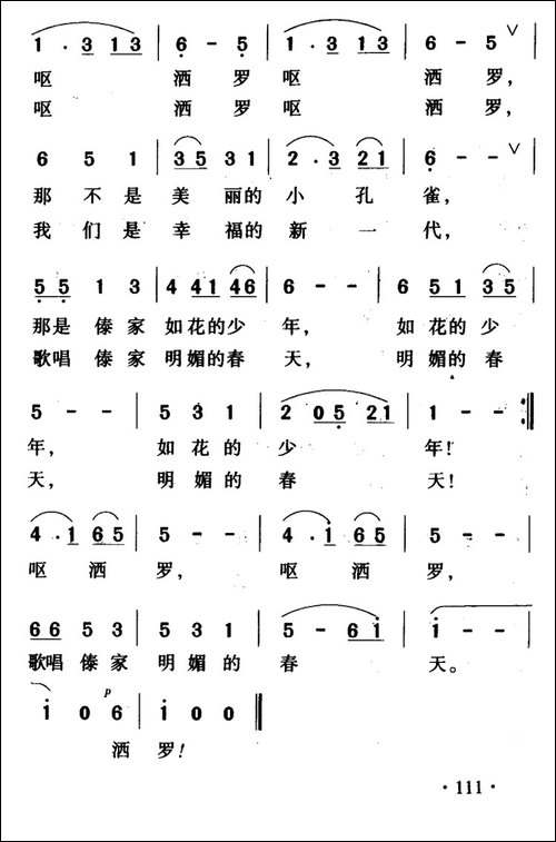 瑞丽江边的小孔雀