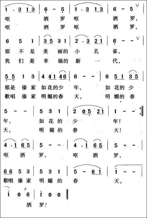 瑞丽江边的小孔雀
