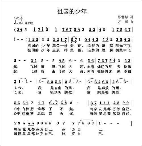 祖国的少年