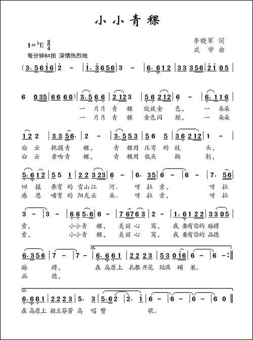 小小青稞