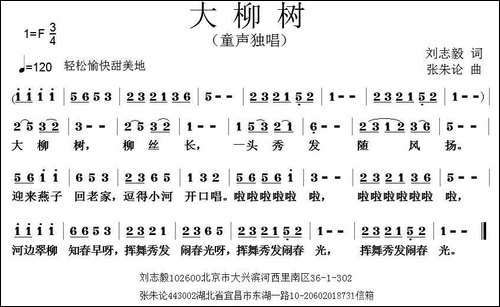 大柳树