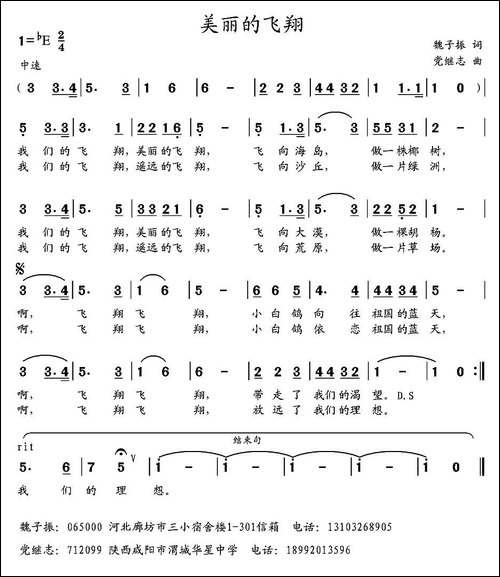 美丽的飞翔