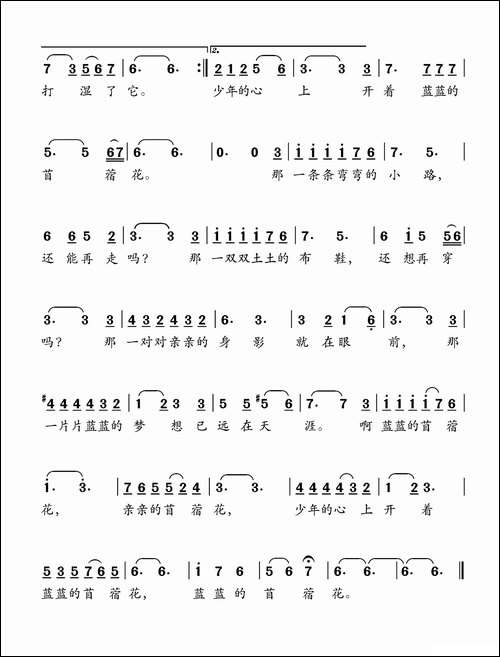 蓝蓝的苜蓿花
